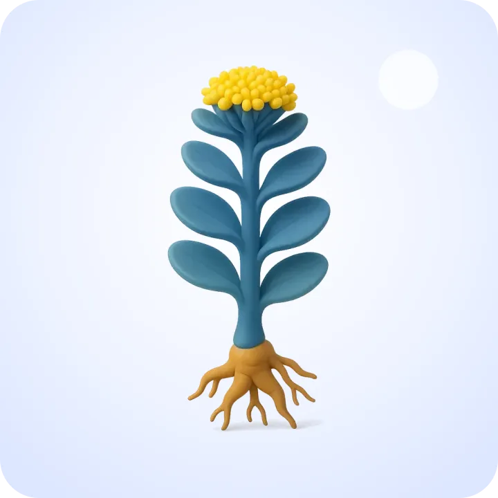 From mountain plant to capsule